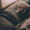 Good Night Sleep